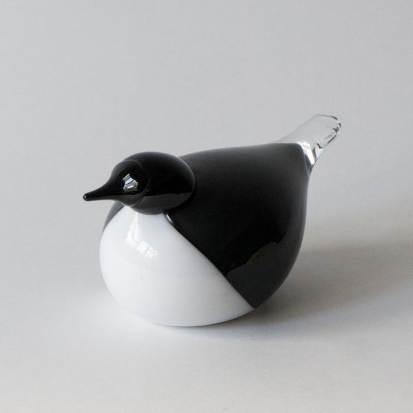 Birds by ToikkaDipper