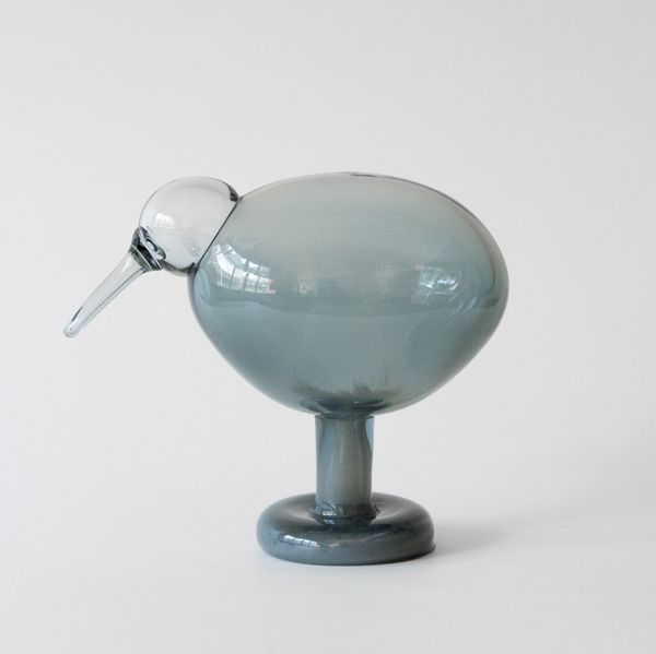 Birds by ToikkaRocky Kiwi 