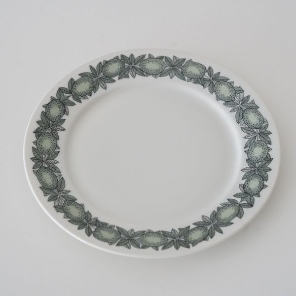 Citrus17.5cm Plate