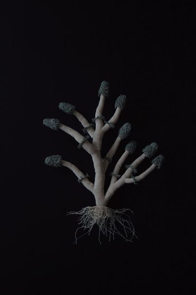 オーダーエッグバッグに、新しいラインナップが加わります。 10月26日