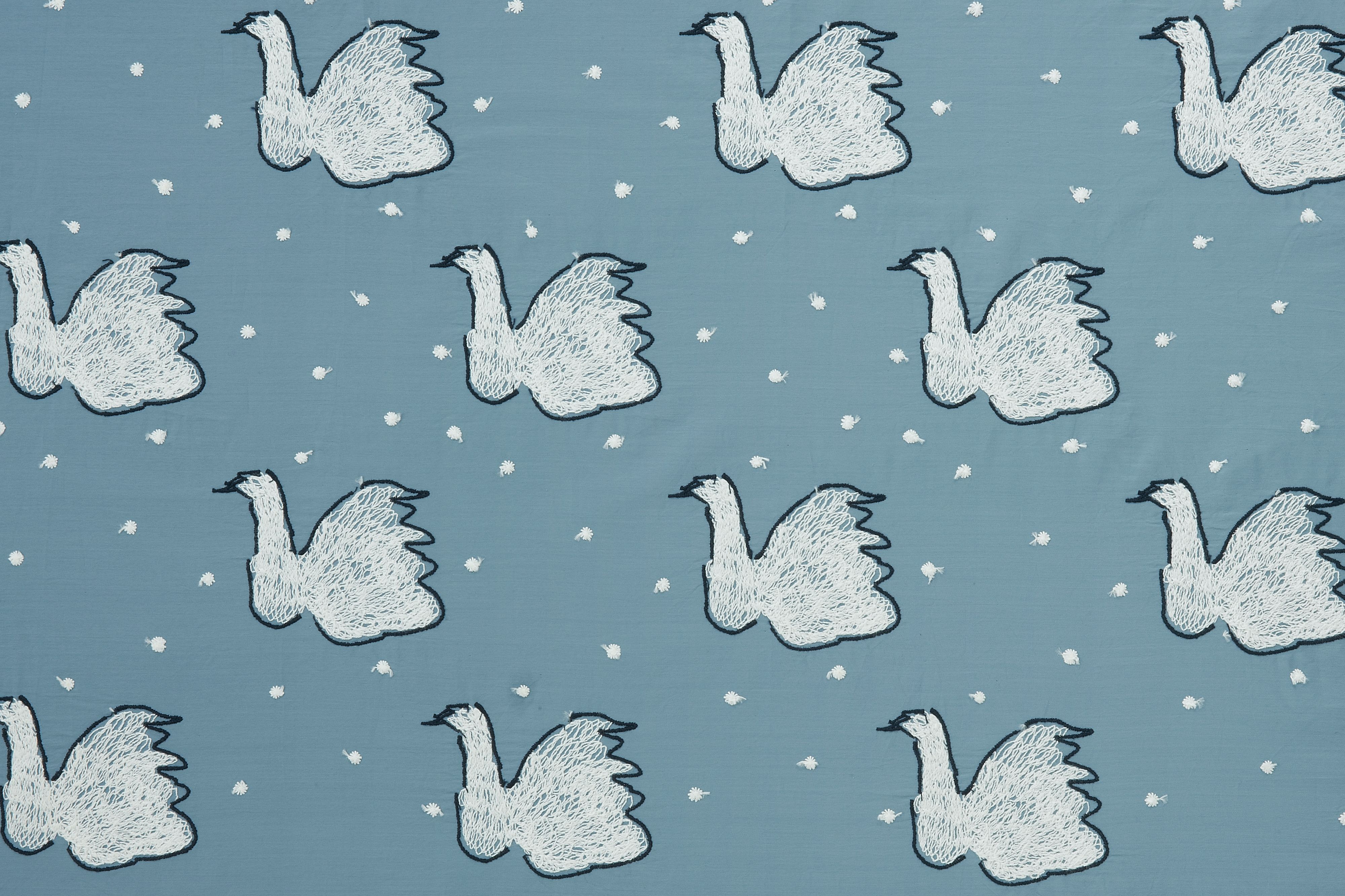 swan - minä perhonen