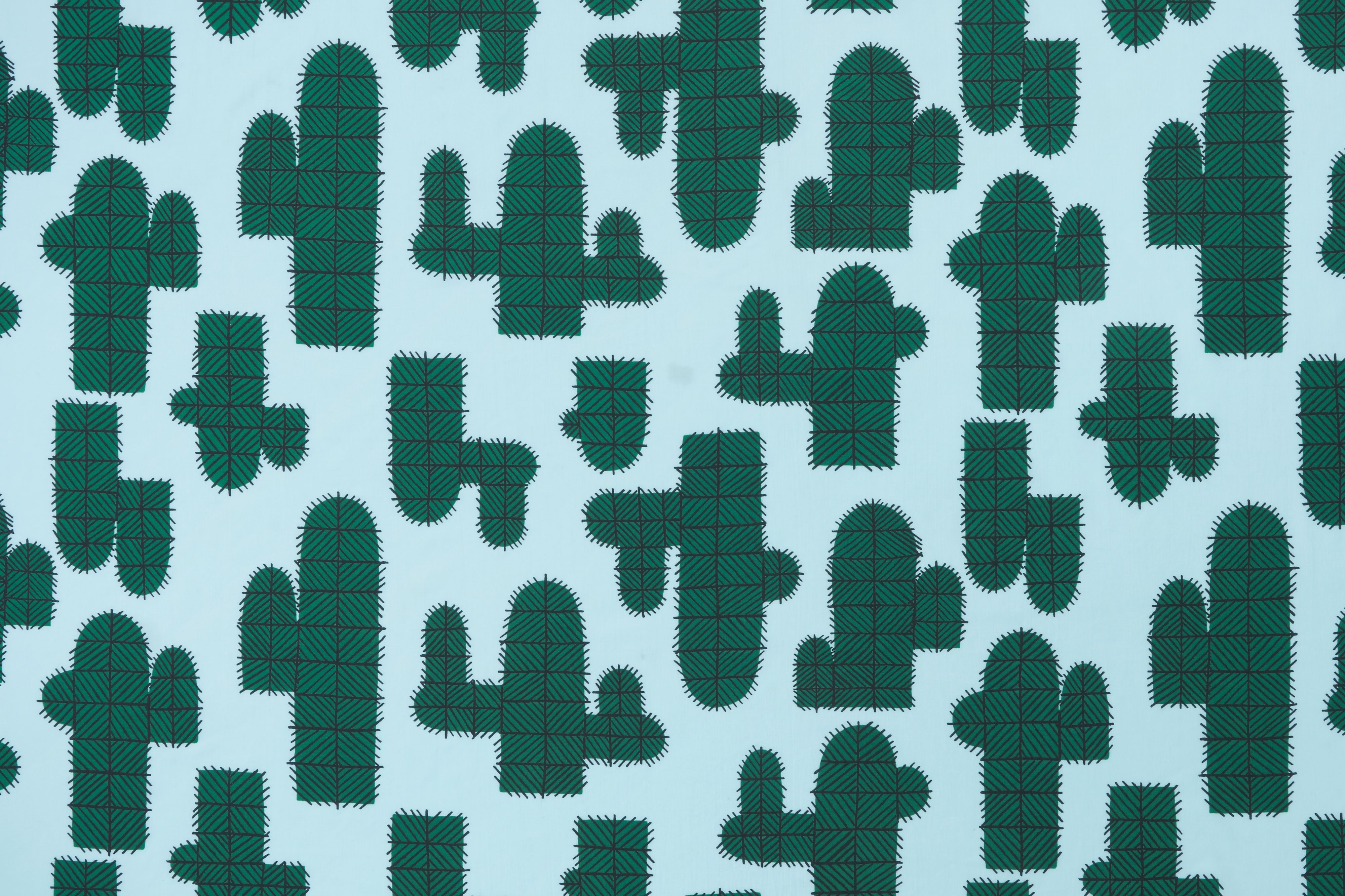 cactus - minä perhonen